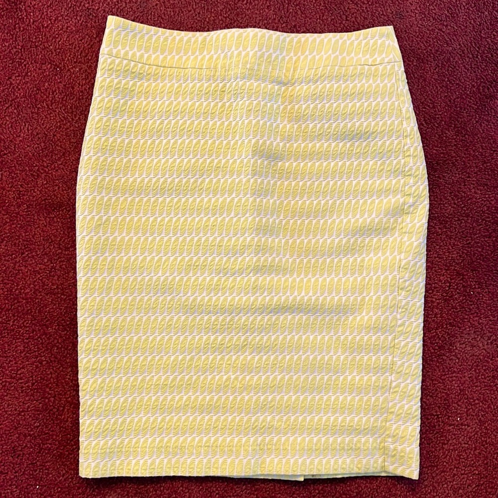 Women’s Pencil Skirt
